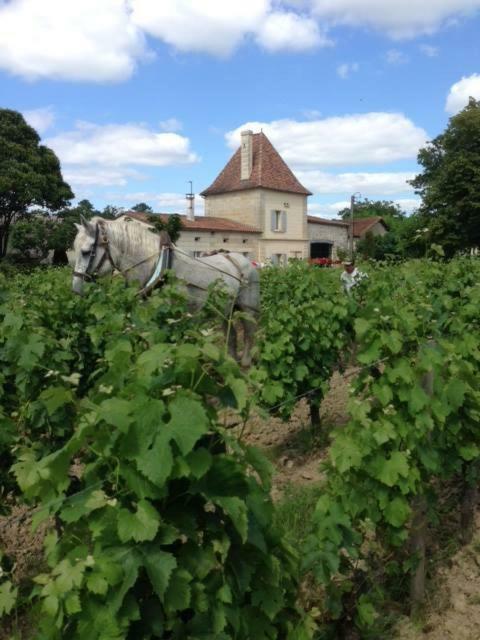 Chateau Vieux Mougnac Petit-Palais-et-Cornemps Buitenkant foto